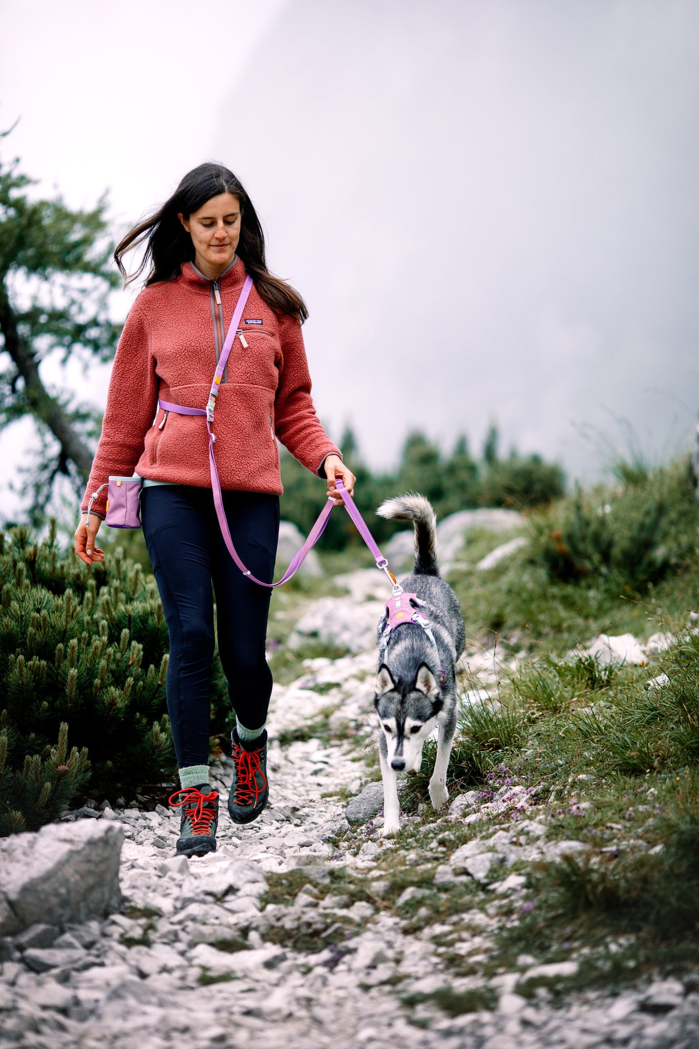 Color Block Multi-use Leash Mauve Mix