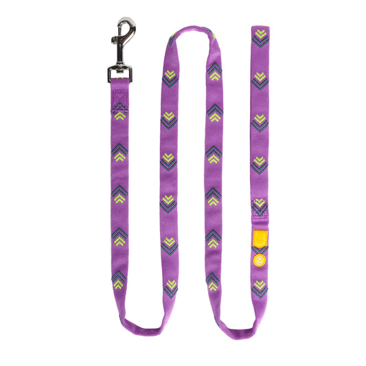 Northern Lights Leash