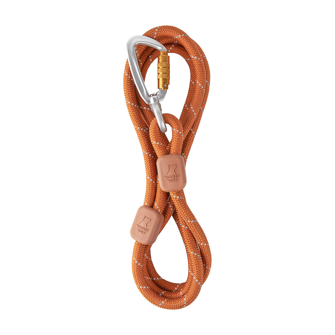Rope Leash Terracotta