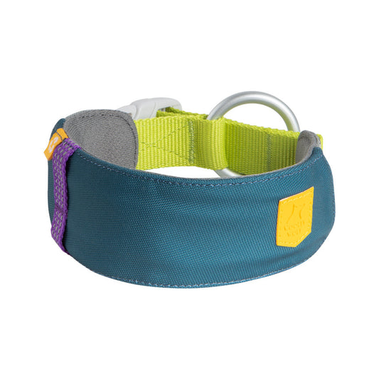 Alpha 360 Collar Deep Teal Mix