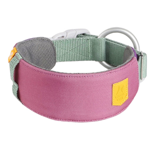 Alpha 360 Collar Mauve Mix