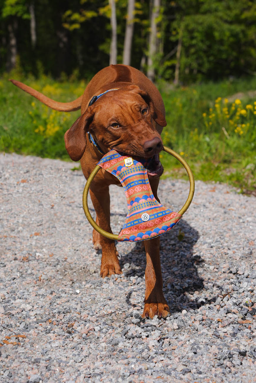 Nightless Night Squeaky Frisbee