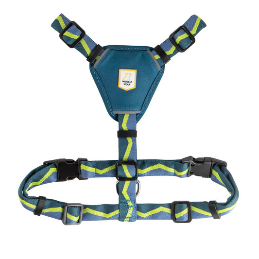 Horizon Harness