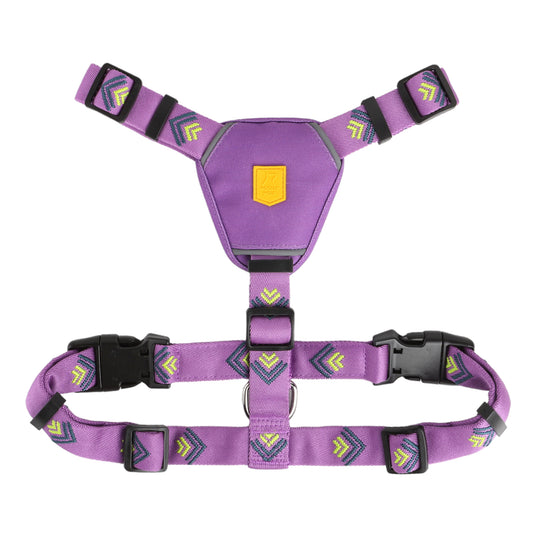 Northern Lights Harness