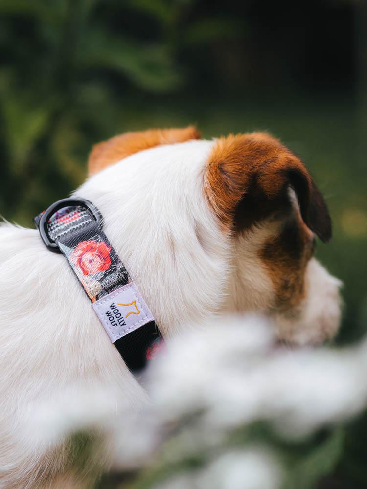 Wild Rose Collar